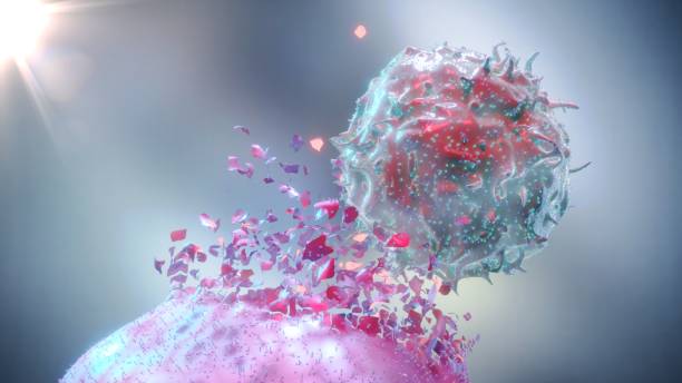 Best Cancer Doctor For Immunotherapy in Vashi