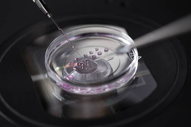 Best Precision Oncology Treatment in Vashi
